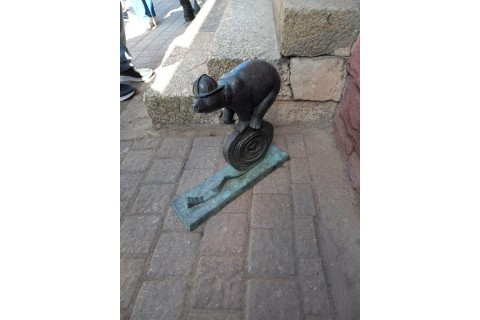 Spacer Seniorów po Białymstoku - Szlakiem Białostockich Widzimisiów