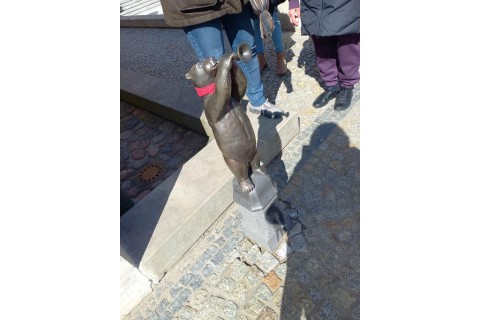 Spacer Seniorów po Białymstoku - Szlakiem Białostockich Widzimisiów