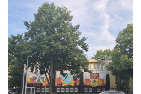 Spacer rodzinny po Białymstoku - Śródmiejskie murale