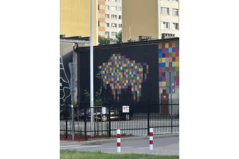 Spacer rodzinny po Białymstoku - Śródmiejskie murale