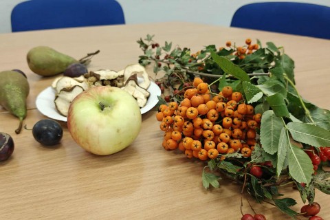 warsztaty zielarskie - „Owoce ziemi – dzikość i obfitość