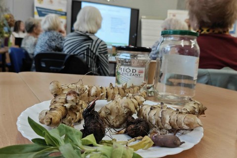 Warsztaty zielarskie dla seniorów - Korzenie, czyli tajemnica podziemnego świata