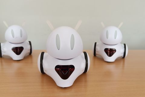 Trening pamięci - warsztaty z robotem Photon dla dzieci 10 - 12 lat