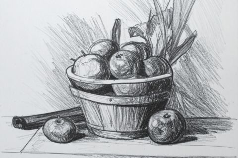 Warsztaty malarstwa dla seniorów - martwa natura ołówkiem